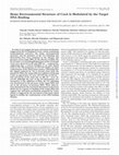 Research paper thumbnail of Heme Environmental Structure of CooA Is Modulated by the Target DNA Binding