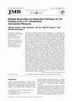 Research paper thumbnail of Multiple Monovalent Ion-dependent Pathways for the Folding of the L-21 Tetrahymena thermophila Ribozyme