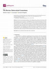 Research paper thumbnail of The Bovine Tuberculoid Granuloma