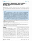 Research paper thumbnail of Transmission in Heteronymous Spinal Pathways Is Modified after Stroke and Related to Motor Incoordination