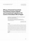 Research paper thumbnail of Efficacy of seaweed concentrate from Ecklonia maxima (Osbeck) and conventional fungicides in the control of Verticillium wilt of pepper