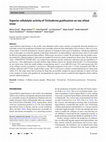 Research paper thumbnail of Superior cellulolytic activity of Trichoderma guizhouense on raw wheat straw