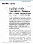 Research paper thumbnail of Empagliflozin maintains capillarization and improves cardiac function in a murine model of left ventricular pressure overload