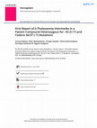 Research paper thumbnail of First Report of β-Thalassemia Intermedia in a Patient Compound Heterozygous for -92 (C>T) and Codons 36/37 (-T) Mutations