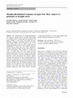 Research paper thumbnail of Morpho-physiological responses of sugar beet (Beta vulgaris L.) genotypes to drought stress