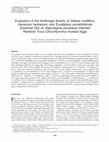 Research paper thumbnail of Evaluation of the Antifungal Activity of Zataria multiflora, Geranium herbarium, and Eucalyptus camaldolensis Essential Oils on Saprolegnia parasitica–Infected Rainbow Trout (Oncorhynchus mykiss) Eggs