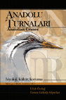 Research paper thumbnail of Modern Türk Şiirinde Turnanın Çağrışımları (Anadolu Turnaları)