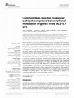 Research paper thumbnail of Common bean reaction to angular leaf spot comprises transcriptional modulation of genes in the ALS10.1 QTL