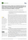 Research paper thumbnail of Antibacterial Activity and Reversal of Multidrug Resistance of Tumor Cells by Essential Oils from Fresh Leaves, Flowers, and Stems of Montanoa quadrangularis Schultz Bipontinus (Asteraceae) Collected in Mérida—Venezuela