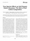 Research paper thumbnail of Tree Species Effects on Soil Organic Matter Dynamics: The Role of Soil Cation Composition