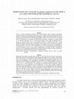 Research paper thumbnail of MORFOLOGIA DE CALOS DE Eucalyptus urophylla CULTIVADOS in vitro SOB CONCENTRAÇÕES DE BORO E CÁLCIO