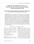 Research paper thumbnail of Identification and antagonistic activity in vitro of Bacillus spp. and Trichoderma spp. isolates against common phytopathogenic fungi