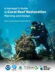 Research paper thumbnail of A Manager’s Guide to Coral Reef Restoration Planning and Design