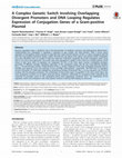 Research paper thumbnail of A complex genetic switch involving overlapping divergent promoters and DNA looping regulates expression of conjugation genes of a gram-positive plasmid