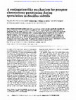 Research paper thumbnail of A conjugation-like mechanism for prespore chromosome partitioning during sporulation in Bacillus subtilis