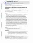 Research paper thumbnail of Functional role of TRP channels in modulating ER stress and Autophagy