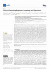 Research paper thumbnail of Calcium Signaling Regulates Autophagy and Apoptosis