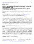 Research paper thumbnail of Effective microorganisms: Microbial diversity and its effect on the growth of palisade grass