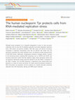 Research paper thumbnail of The human nucleoporin Tpr protects cells from RNA-mediated replication stress