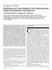 Research paper thumbnail of Identification of a Novel Member of the Carboxylesterase Family That Hydrolyzes Triacylglycerol