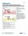 Research paper thumbnail of KLF15 Enables Rapid Switching between Lipogenesis and Gluconeogenesis during Fasting