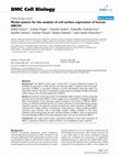 Research paper thumbnail of BMC Cell Biology BioMed Central Methodology article Model system for the analysis of cell surface expression of human