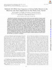 Research paper thumbnail of Subfossil 16S rRNA Gene Sequences of Green Sulfur Bacteria in the Black Sea and Their Implications for Past Photic Zone Anoxia