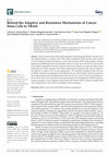 Research paper thumbnail of Behind the Adaptive and Resistance Mechanisms of Cancer Stem Cells to TRAIL