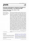 Research paper thumbnail of Phenotypic heterogeneity of mutational changes at a conserved nucleotide in 16 s ribosomal RNA