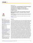 Research paper thumbnail of A molecular, morphological, and physiological comparison of English and German populations of Calliphora vicina (Diptera: Calliphoridae)