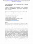 Research paper thumbnail of Feeding dihydroquercetin and vitamin E to broiler chickens reared at standard and high ambient temperatures