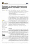 Research paper thumbnail of Peristaltic Flow with Heat Transfer for Nano-Coupled Stress Fluid through Non-Darcy Porous Medium in the Presence of Magnetic Field