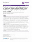 Research paper thumbnail of Preclinical evaluation of cyclin dependent kinase 11 and casein kinase 2 survival kinases as RNA interference targets for triple negative breast cancer therapy