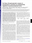 Research paper thumbnail of The fluxes through glycolytic enzymes in Saccharomyces cerevisiae are predominantly regulated at posttranscriptional levels