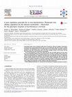 Research paper thumbnail of A new regulatory principle for in vivo biochemistry: Pleiotropic low affinity regulation by the adenine nucleotides – Illustrated for the glycolytic enzymes of Saccharomyces cerevisiae