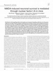 Research paper thumbnail of NMDA-induced neuronal survival is mediated through nuclear factor I-A in mice