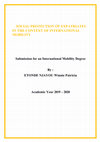 Research paper thumbnail of SOCIAL PROTECTION OF EXPATRIATES IN THE CONTEXT OF INTERNATIONAL MOBILITY Submission for an International Mobility Degree By