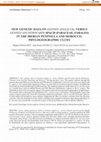 Research paper thumbnail of Novos dados genéticos sobre a Genista anglica L. versus Genista ancistrocarpa Spach (Fabaceae, Fabales) na Península Ibérica e Marrocos. Indícios filogeográficos