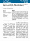 Research paper thumbnail of Aeromonas hydrophila AHL 0905-2 and Streptococcus agalactiae N14G as Combined Vaccine Candidates for Nile Tilapia