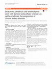 Research paper thumbnail of Erratum to: Umbilical cord mesenchymal stem cells derived extracellular vesicles can safely ameliorate the progression of chronic kidney diseases