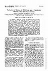 Research paper thumbnail of Production of Maltase by Wild-Type and a Constitutive Mutant of Saccharomyces italicus