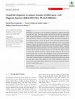 Research paper thumbnail of Gonad development in mature females of tidal spray crab Plagusia depressa (Brachyura: Plagusiidae)