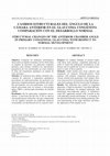 Research paper thumbnail of [Structural changes of the anterior chamber angle in primary congenital glaucoma with respect to normal development]