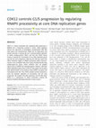 Research paper thumbnail of CDK12 controls G1/S progression by regulating RNAPII processivity at core DNA replication genes