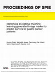 Research paper thumbnail of Identifying an optimal machine learning generated image marker to predict survival of gastric cancer patients