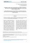 Research paper thumbnail of Numerical Simulation Andconstructal Design Applied to the Study of Elastic Buckling in Thin Steel Plates with Oblong Perforations