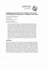 Research paper thumbnail of Pedagogical approaches for ICT integration into primary school English and mathematics: A Singapore case study