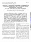 Research paper thumbnail of Identification of Endopeptidase Genes from the Genomic Sequence of Lactobacillus helveticus CNRZ32 and the Role of These Genes in Hydrolysis of Model Bitter Peptides