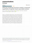 Research paper thumbnail of SPACA6 ectodomain structure reveals a conserved superfamily of gamete fusion-associated proteins