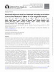 Research paper thumbnail of Plasmatic Hippuric Acid as a Hallmark of Frailty in an Italian Cohort: The Mediation Effect of Fruit–Vegetable Intake